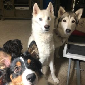 Meet your Posher, Sharon